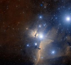 photonasty:  The region of Orion’s Belt and the Flame Nebula.