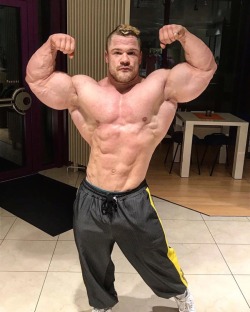 musclebubblegut:  Perfect proportion, short thick legs and huge upper body! Nice juiced pig!