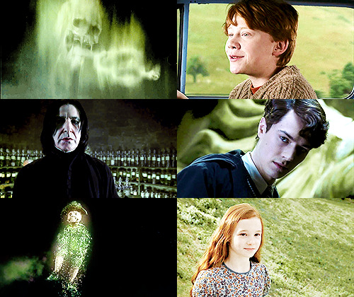 fyesharrypotter:  Differences of habits and language are nothing at all if our aims are identical an