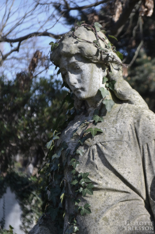 liselotte-e:  Brompton Cemetery, London, UK. 