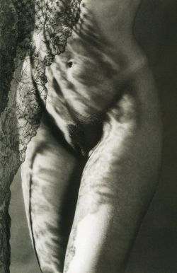 Altdel100:  Guenter Blum