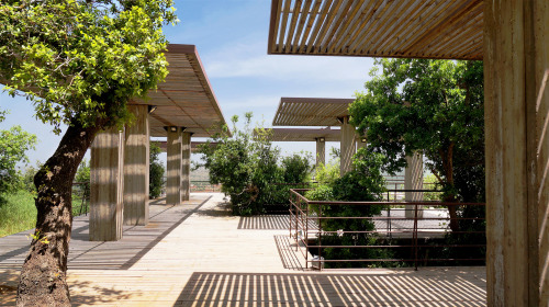 {Beautiful moves in this building by Jordan-based Khammash Architects. It emerges out of a cut in th