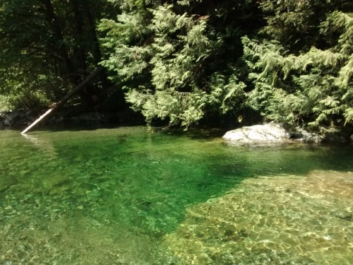 The best part of staying at Samesun hostel are the day trips to hikes around Vancouver