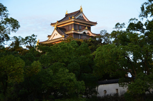 Okayama Castle 6 by pokoroto on Flickr.