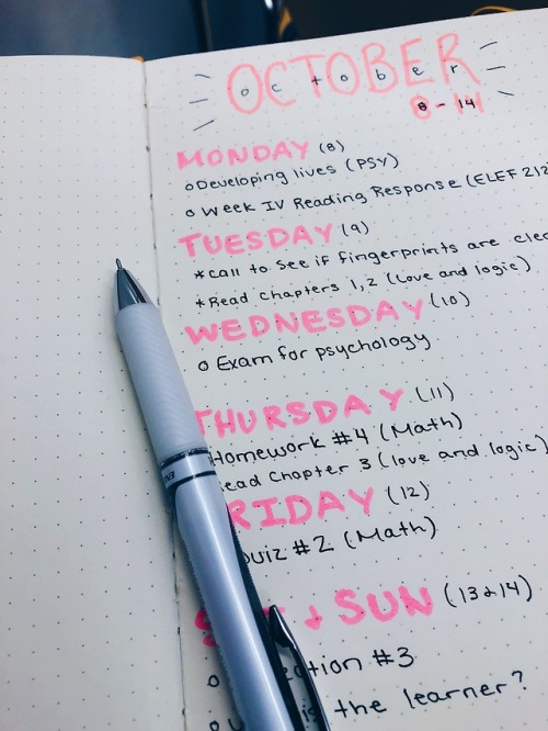 blueesilk:Welcome! I decided to come back and start doing my studyblr again! I’ve missed 