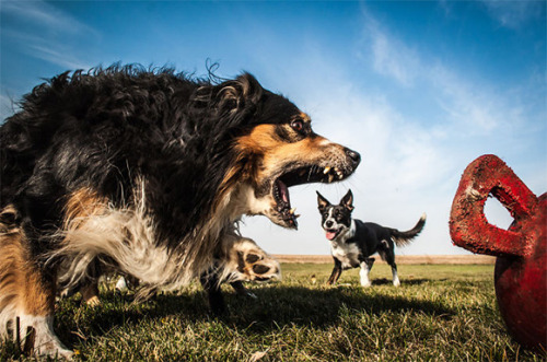 Sex culturenlifestyle:    Perfectly Timed Photos pictures