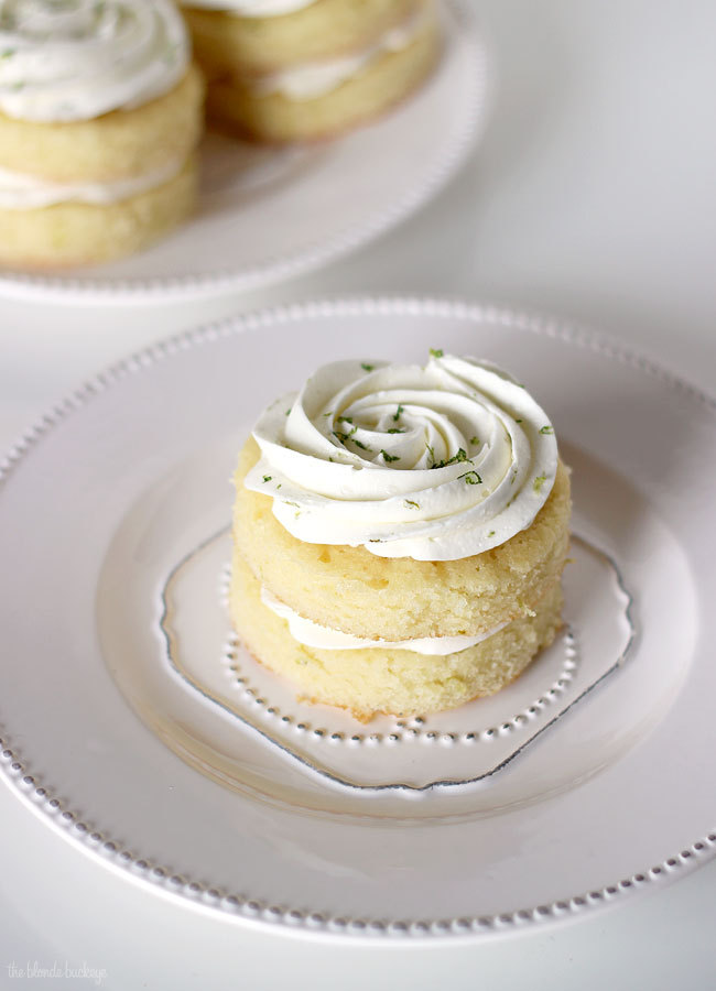  Margarita Mini Cakes (recipe)  oh?!