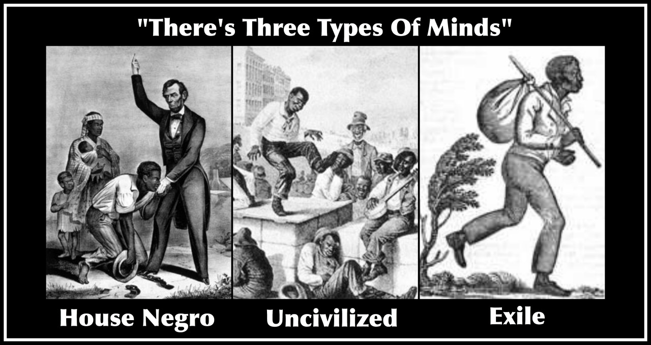 revengeofthelostboys:  acceber74:  laurthargic:  knowledgeequalsblackpower:  realsmurk: