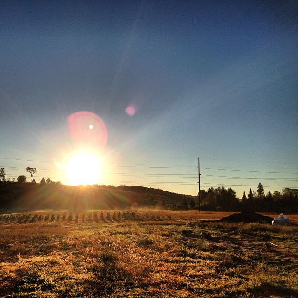 Bear Creek Organic Farm. Petoskey. Michigan. Pavla Mertlik