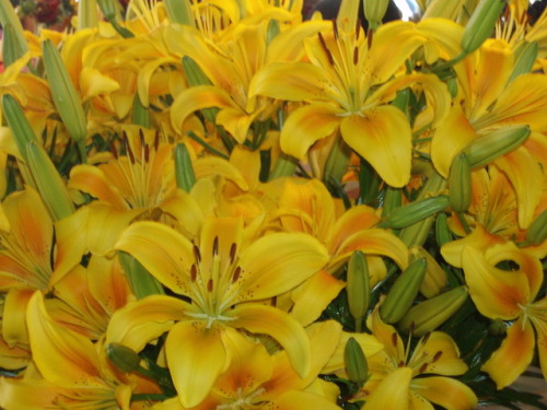 Pike Place Market in August II: Summer Flowers, Seattle, 2007.