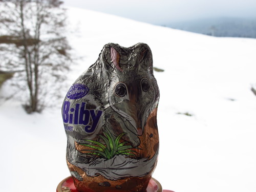 Easter Bilby a long way from home….