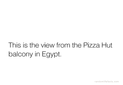 dreaminginspanish:  tay-n:man, listen.like you can have a fuckin slice of pizza or a whole pizza to yourself and just contemplate about this fucking ancient civilization all from a pizza hut.