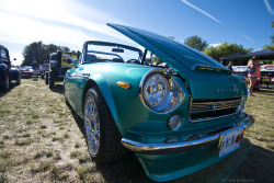 grumpybearphotos:  Datsun 