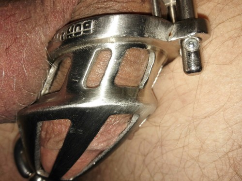 steffen123456:  #Rivet #Chastity 