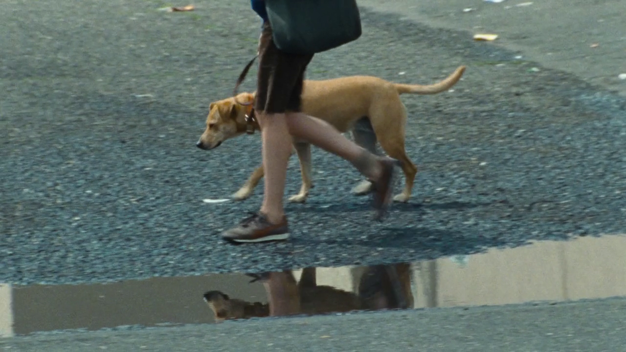 artfilmfan: Wendy and Lucy (Kelly Reichardt, 2008) “You can’t get a address without