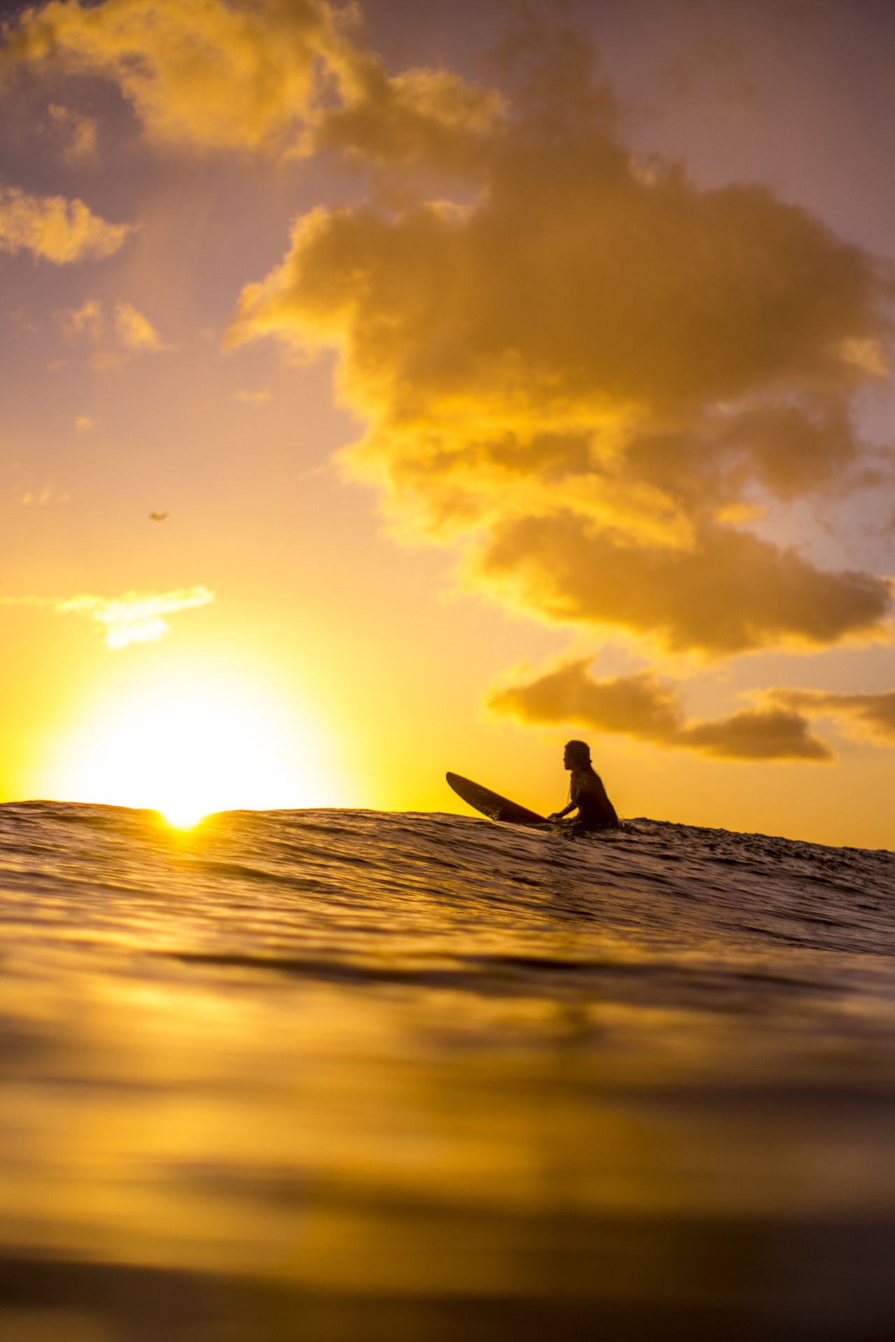 pricelessgallery:  6:12 pm - End the day as you started it: on the beach watching