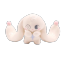 suturethenerve