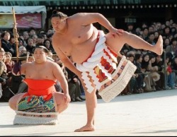 the-history-of-fighting:  Sumo Wrestling