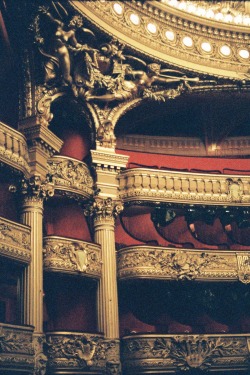 insertpsychonamehere:  Fun Fact: The reason why auditoriums and concert halls have big, ornate decorations is to diffuse soundwaves. (Basically it makes everything sound better.) 