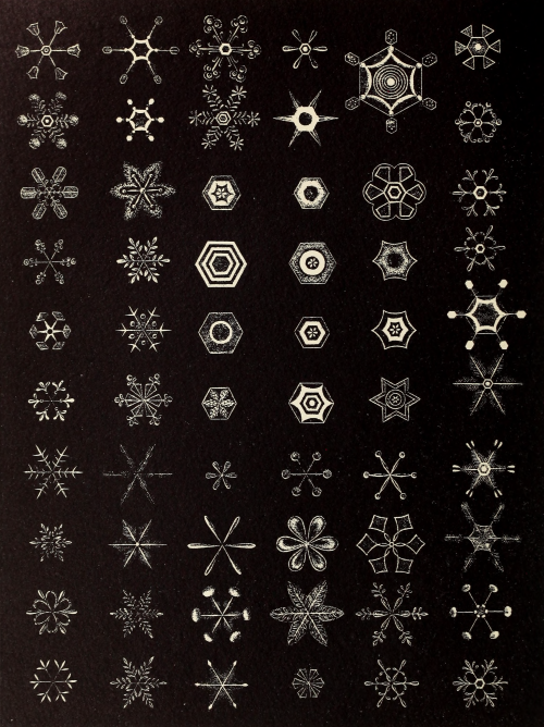 nemfrog:Rows of snowflakes. Atlas der Krystallformen (Tafeln). 1913.Internet Archive