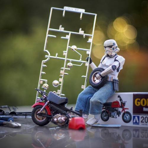 archatlas:The Daily Life of a Miniature Stormtrooper Darryll...