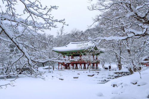 fuckyeahjapanandkorea: Jeonju Hanok village &amp;  Baekyangsa Temple by tawatchai prak