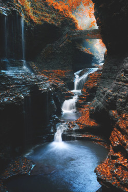 holy-water-and-shine:  lsleofskye: Watkins Glen - the Gorge | mblockk  Nah fam this is Rivendell, you can’t fool me 