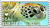 stamp with a close-up on a sea turtle's face with the text 'i heart sea turtles'.