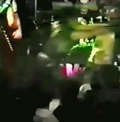  The Misfits show ▐═██████═─── Glenn Danzig fights with fan