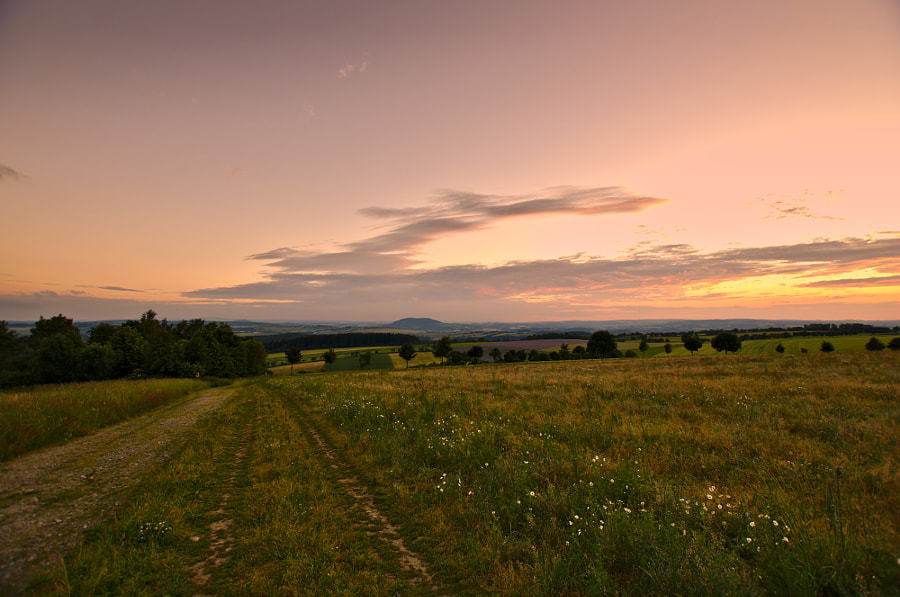 drxgonfly:  Sunset (by Roy FreyTag)
