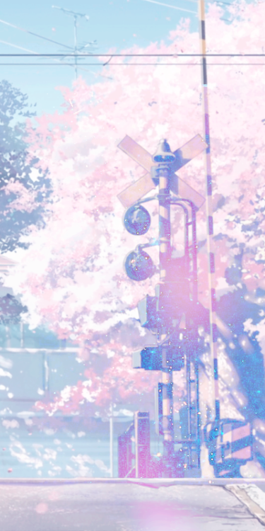 eggpuffs: wallpapers with films by makoto shinkai ♡♡♡ please do not reupload (lighter version)