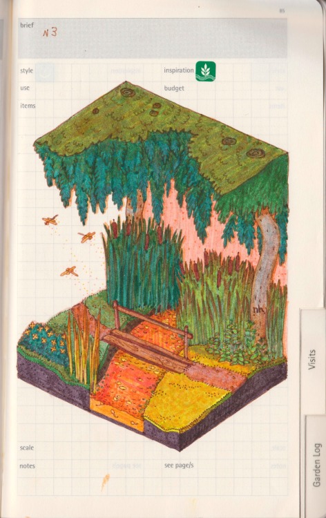 PlantPlan №3hidden entrance to a park from a hospital sideand apparently a brook of fanta 