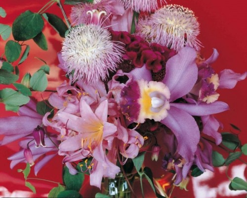wouwiuwa: Nobuyoshi Araki /// Flowers 1985-2008