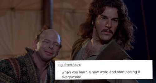 thefaultinourstar-lord: The Princess Bride + text posts