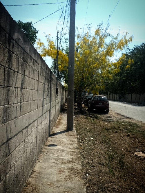 Tuve Una Agradable Salida Con Un Amigo En Un Viernes Despus De Clases, Aunque Lo Llamamos Ms Bien Como