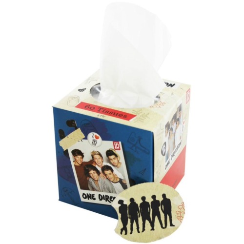 dont-knock-it-till-you-try-it:  One Direction are on hiatus - starterpack