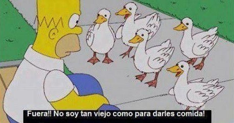 club-verraco:   xd 