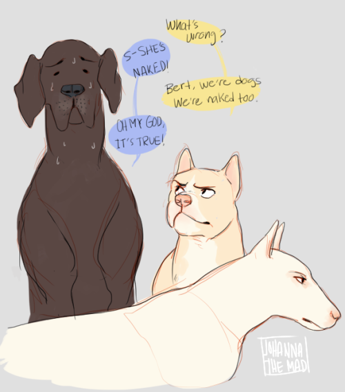 johannathemad:snk doge ver. based on this