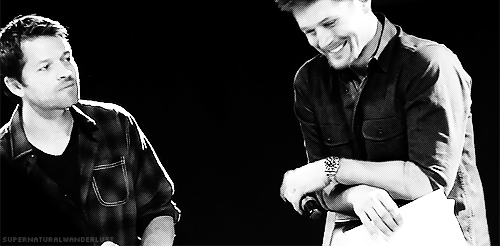 supernaturalwanderlust:   [x]  #are you fucking kidding me #yOUR FACES ARE OUT OF