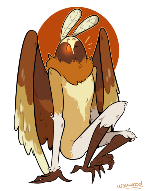 Southern Flannel + Rosy Maplemothmen