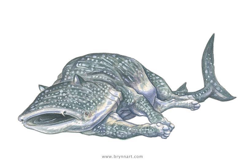 dr-archeville:  Shark Cats: Portraits of Terror by Brynn Metheney [source] Basking