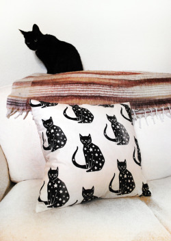 zephistore:  Starry Cat Throw Pillow -  £16.00 