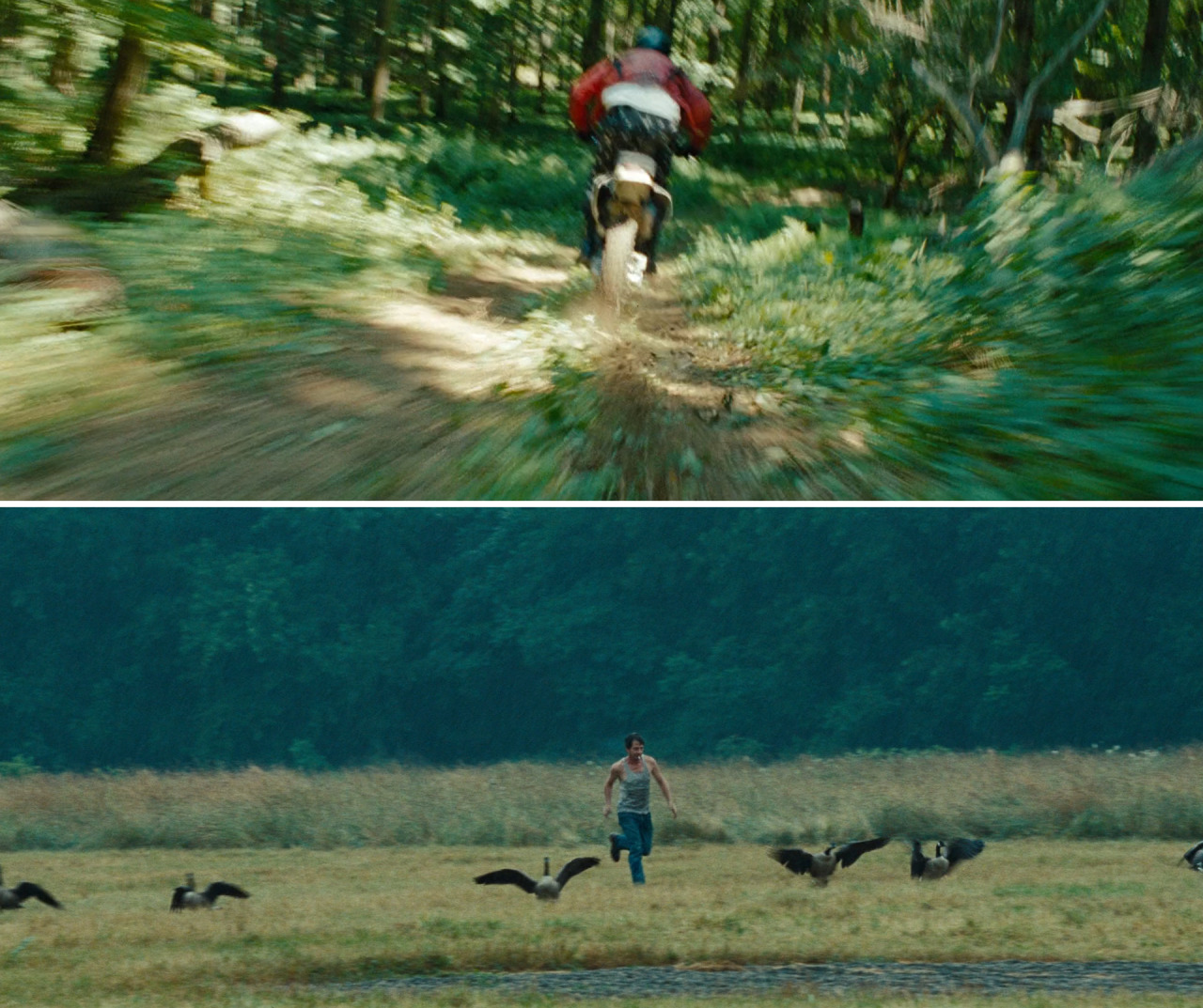 amazingcinematography:  The Place Beyond the Pines Directed by: Derek CianfranceCinematography: