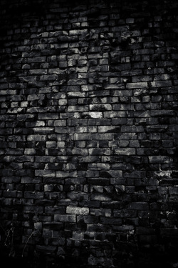 wbsloan:  Hitting a Brick Wall  