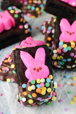 foodiebliss:  Bunny Peeps in a Blanket BrowniesSource: