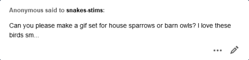 house sparrows: 1 2 3 4