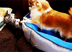 I bet these two could get along well&hellip;