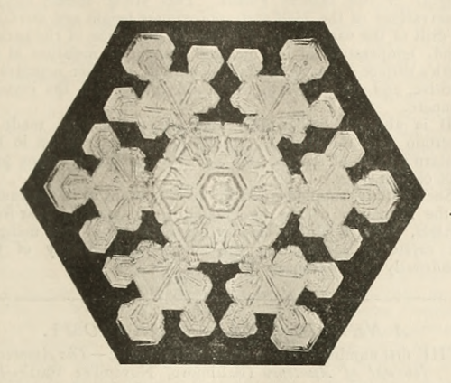 An old snowflake. Nature. 1902.Internet Archive