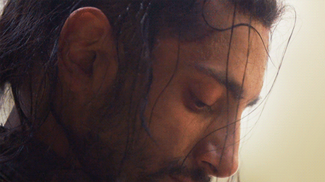 semisweetshadow:Bodhi means awakening.