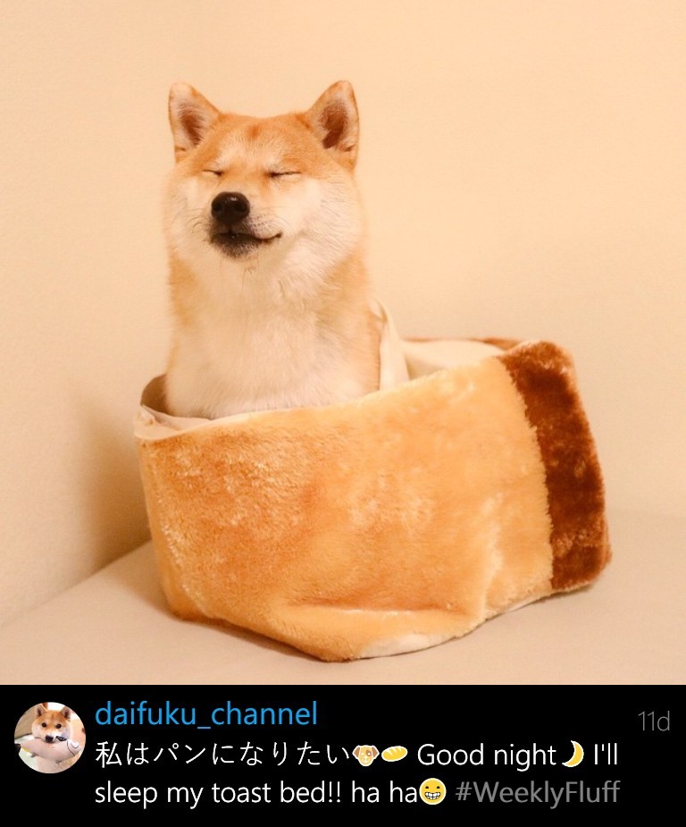 mustardtigress:  I love bread just as much as Daifuku!!